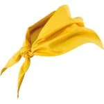 Neckerchief