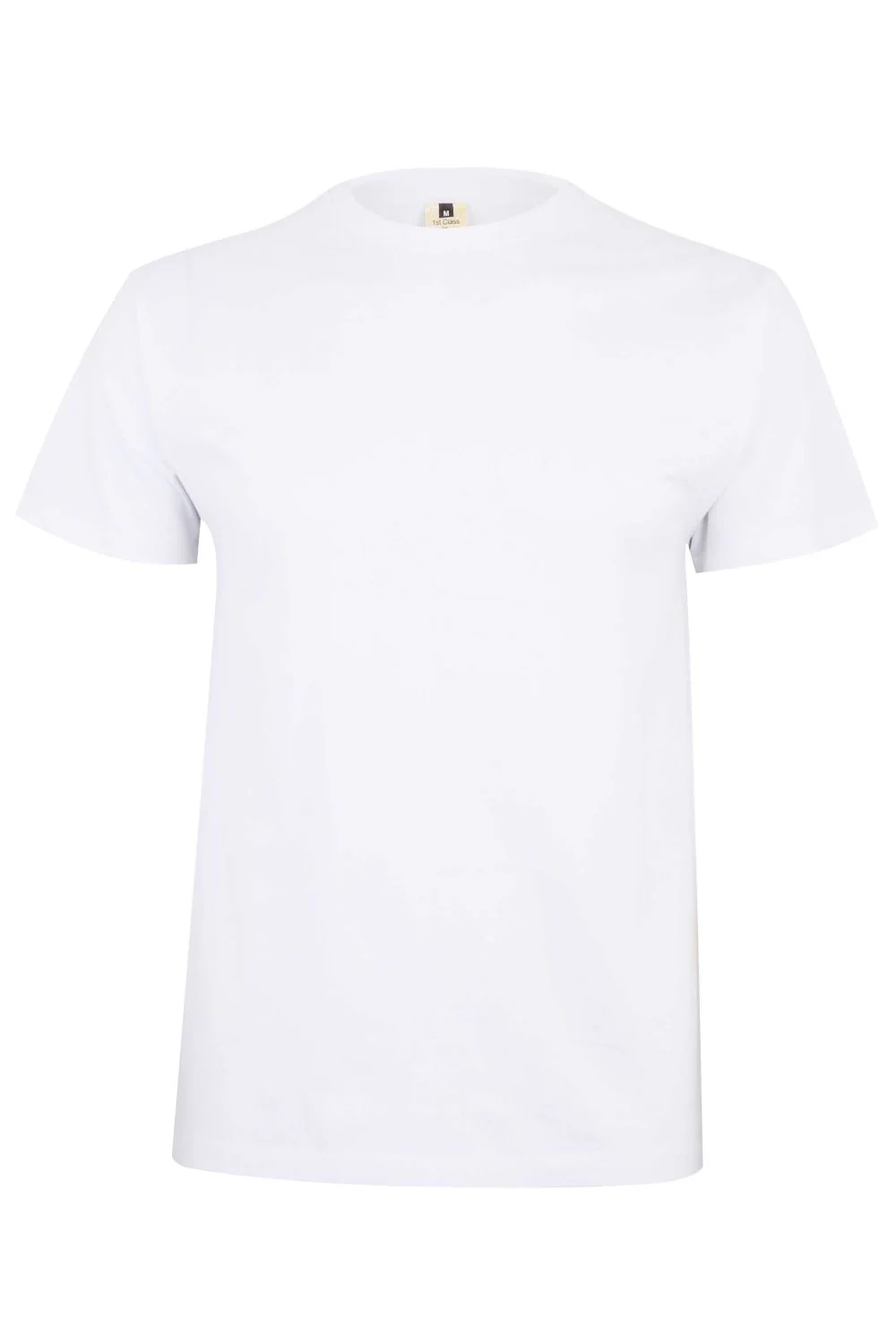 PALM - SHORT SLEEVE T-SHIRT 190